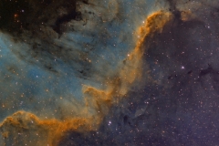 Cygnus Wall