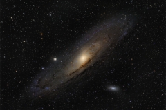 M31